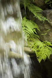 Water close up