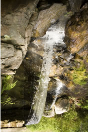 Facelift Cream Facelift Cream